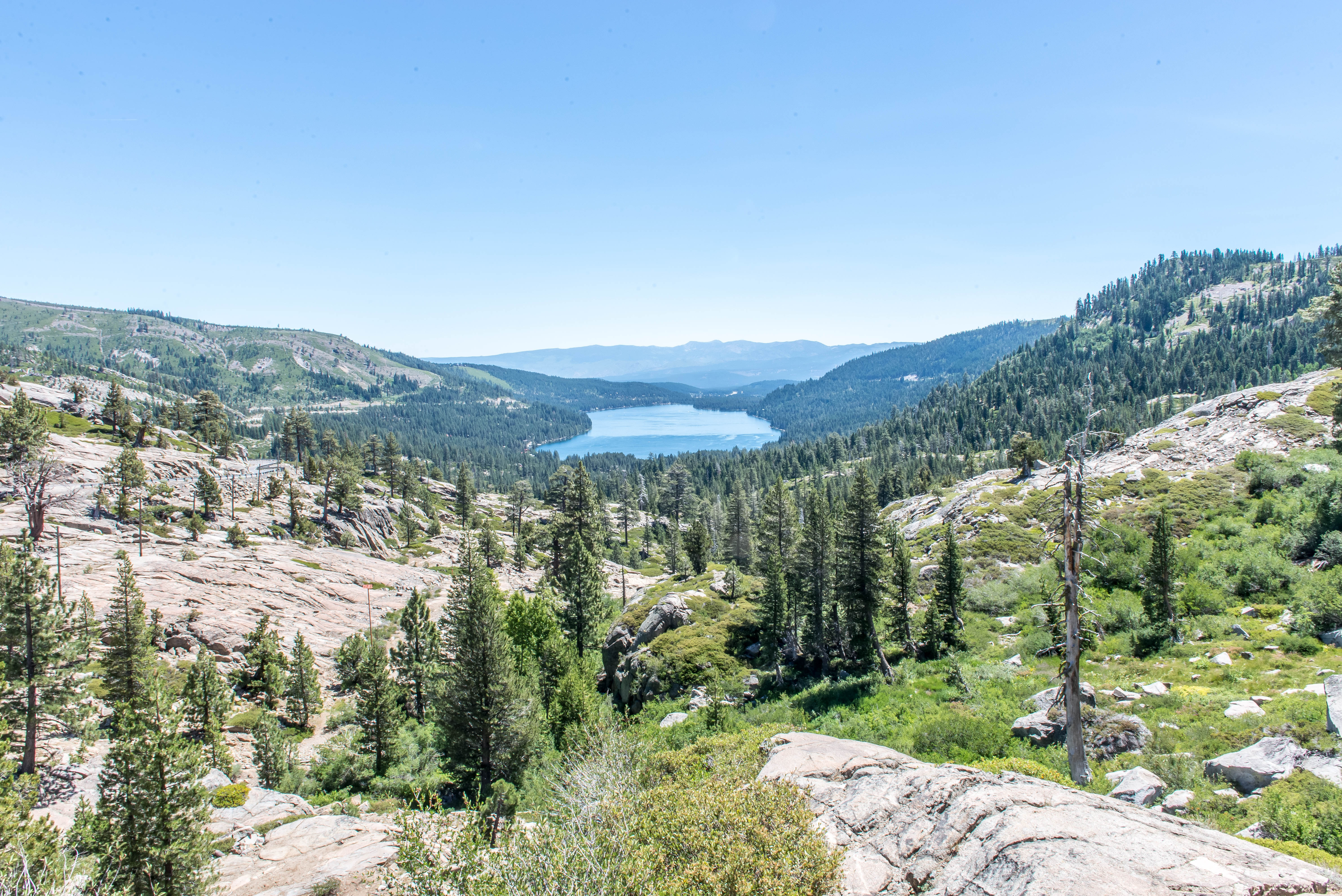 One of my field sites in the Sierra Nevadas, Donner Pass